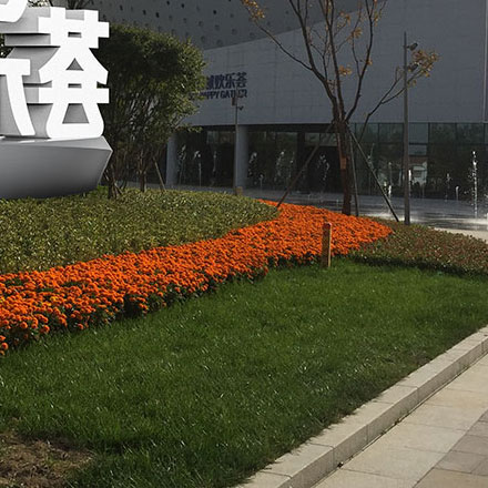 廣東的標識設計公司